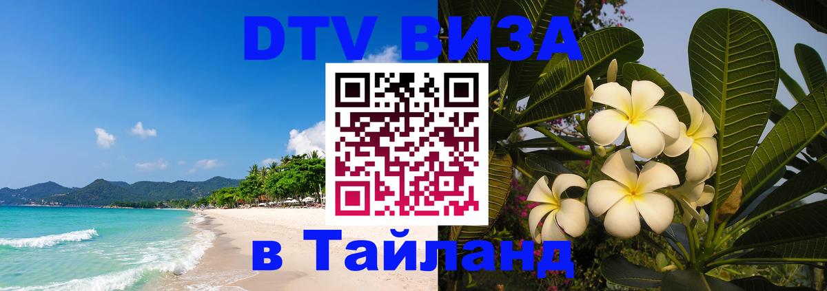 Сколько стоит DTV виза — актуальные цены, оформление даже без документов - Химки  11.12.2025 